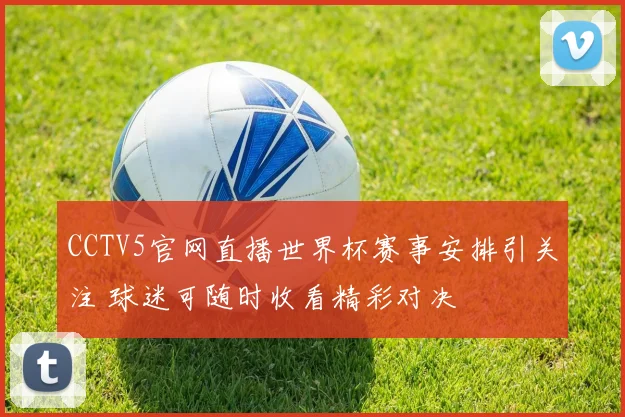CCTV5官网直播世界杯赛事安排引关注 球迷可随时收看精彩对决