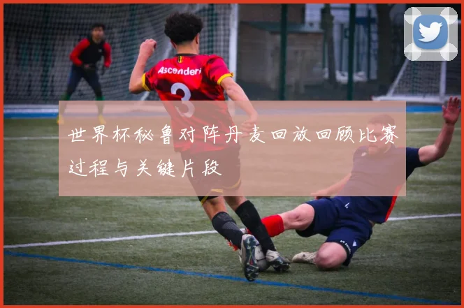 世界杯秘鲁对阵丹麦回放回顾比赛过程与关键片段